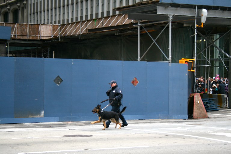 Brent was obsessed with this dog and took about 20 pictures of it because this is the dog he wants!