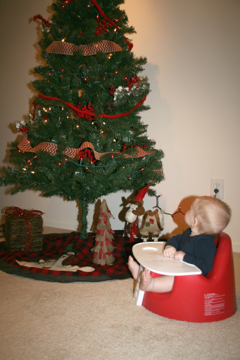 Admiring the start of the decorating. 