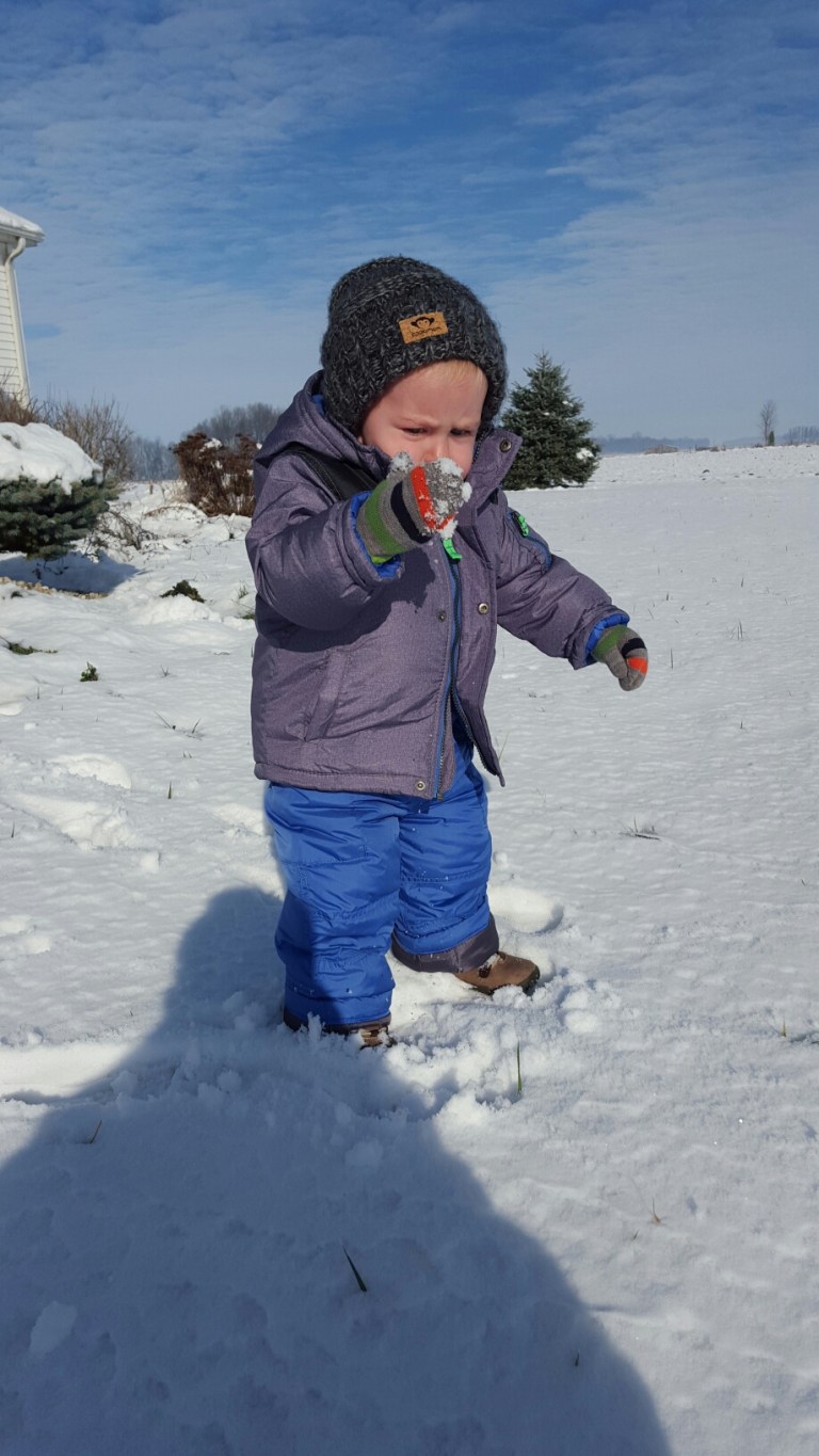 20151124_104449.jpg image