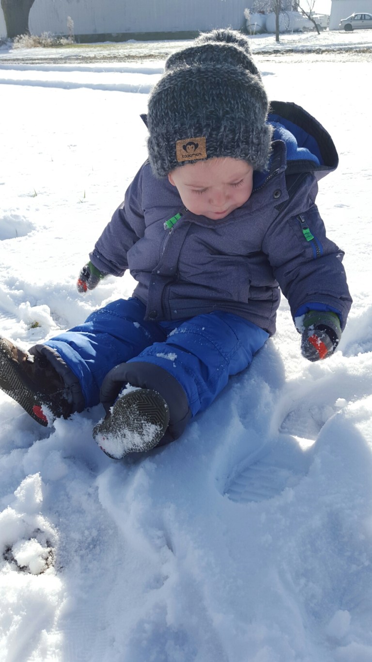 20151124_104658.jpg image