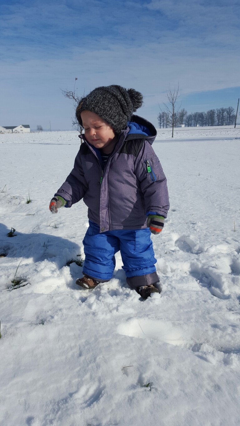 20151124_104901.jpg image